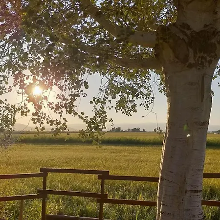 El Niu Deltebre